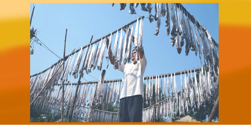 Ngoại trừ phương pháp phơi khô truyền thống, ta có thể sử dụng máy sấy
