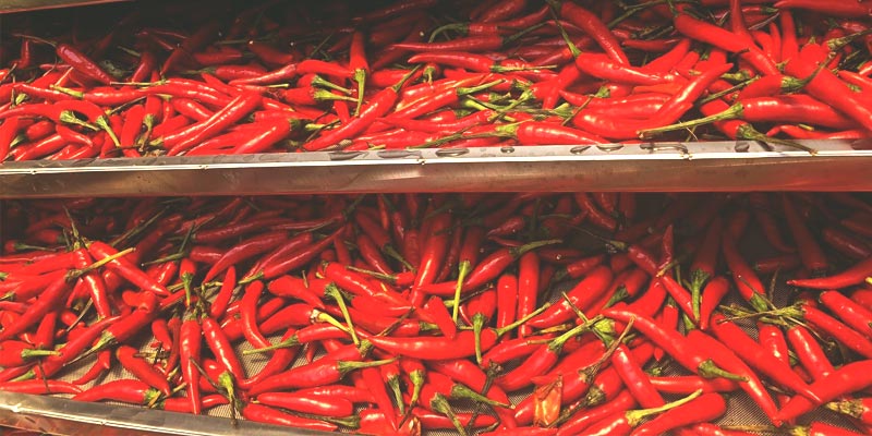Ớt trên giàng máy sấy